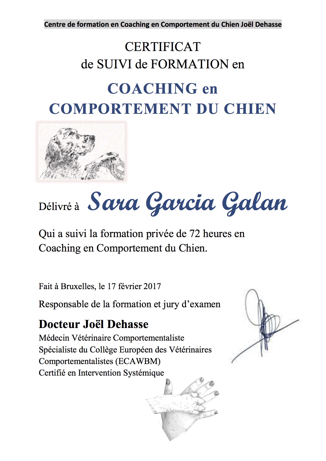 garcia galan 2017-02-17 joel dehasse